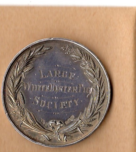 Grosse silbermedaille weisse - grosse,