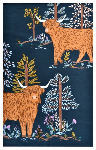 Ulster weavers küchentuch - ulster,