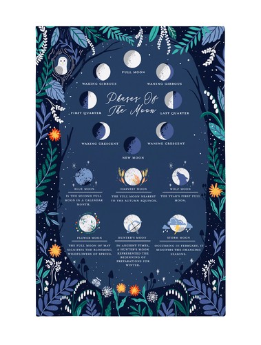 Geschirrtuch phases moon - phases, of