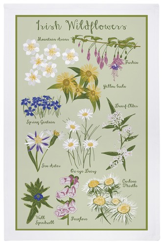 Ulster weavers geschirrtuch - ulster,